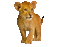 Lion.León.cachorro.Chiot.Little.gif.Victoriabea - Ücretsiz animasyonlu GIF animasyonlu GIF