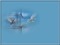 minou-blue-sky-bird-dove-background - zdarma png animovaný GIF