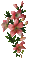 Flowers dm19 - Δωρεάν κινούμενο GIF κινούμενο GIF