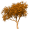 Autumn - bezmaksas png animēts GIF