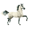 Kaz_Creations Horse 🐴 - δωρεάν png κινούμενο GIF