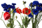 Summer Flowers - ingyenes png animált GIF
