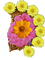 fleurs - 免费PNG 动画 GIF