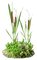Herbe - Free PNG Animated GIF