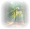 Background Wald - gratis png geanimeerde GIF
