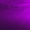 purple bg violet fond gif