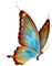 papillonGS - ingyenes png animált GIF