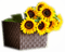 Sunflower - ingyenes png animált GIF