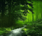 ani-vatten  träd mm---landskap---landscape - GIF เคลื่อนไหวฟรี GIF แบบเคลื่อนไหว