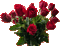 Roses from Mother’s Day - Gratis animeret GIF