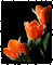 Flores - GIF animasi gratis GIF animasi