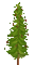 Christmas.Tree.Arbre.Noël.gif.Victoriabea - Бесплатни анимирани ГИФ анимирани ГИФ