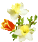 Frühling, Blumen - Бесплатный анимированный гифка анимированный гифка