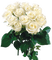 rózsa - gratis png geanimeerde GIF