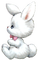 bunny easter - nemokama png animuotas GIF