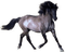 Kaz_Creations Horse - δωρεάν png κινούμενο GIF