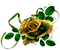 rose jaune.Cheyenne63 - png gratuito GIF animata