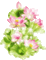 Цветы лотоса - Безплатен анимиран GIF анимиран GIF