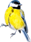 bird - png gratuito GIF animata