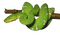 Kaz_Creations Snakes Snake - png gratis GIF animasi