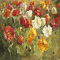kikkapink spring background animated flowers - Besplatni animirani GIF animirani GIF
