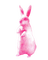 pink bunny - nemokama png animuotas GIF
