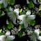 фонгуля цветыгуля - Darmowy animowany GIF animowany gif