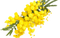 Flowers yellow bp - 免费PNG 动画 GIF