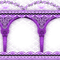 SOAVE FRAME INDIA purple - Free PNG Animated GIF