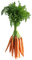 Kaz_Creations Vegetables - kostenlos png Animiertes GIF