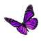 dolceluna purple spring butterfly deco scrap png - zadarmo png animovaný GIF