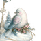 loly33 oiseaux hiver - png grátis Gif Animado
