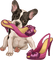 dolceluna dog fashion shoes - безплатен png анимиран GIF