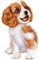 Dog - ingyenes png animált GIF