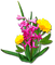 tavaszi csokor - безплатен png анимиран GIF