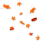 Leaves.Orange - PNG gratuit GIF animé