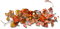 fall autumn leaf leaves feuille - zadarmo png animovaný GIF