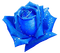 rosa azul-l - zdarma png animovaný GIF
