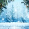 winter hiver paysage landscape forest snow neige fond background - PNG gratuit GIF animé