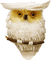 Kaz_Creations Birds Bird Owl - zdarma png animovaný GIF