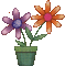 MMarcia gif fleur flores vaso