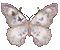 papillon - Ilmainen animoitu GIF animoitu GIF