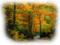 bosque - bezmaksas png animēts GIF