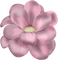 fleur - png gratuito GIF animata
