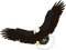 Kaz_Creations Eagle Bird - nemokama png animuotas GIF