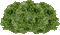 Baum - Darmowy animowany GIF animowany gif