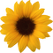 Kaz_Creations Deco Flowers Sunflower Flower - kostenlos png Animiertes GIF