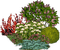 Pflanze - darmowe png animowany gif