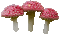 yet another mushroom - Ilmainen animoitu GIF animoitu GIF