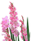 flores - nemokama png animuotas GIF